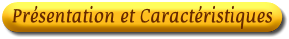 Principales caract�ristiques